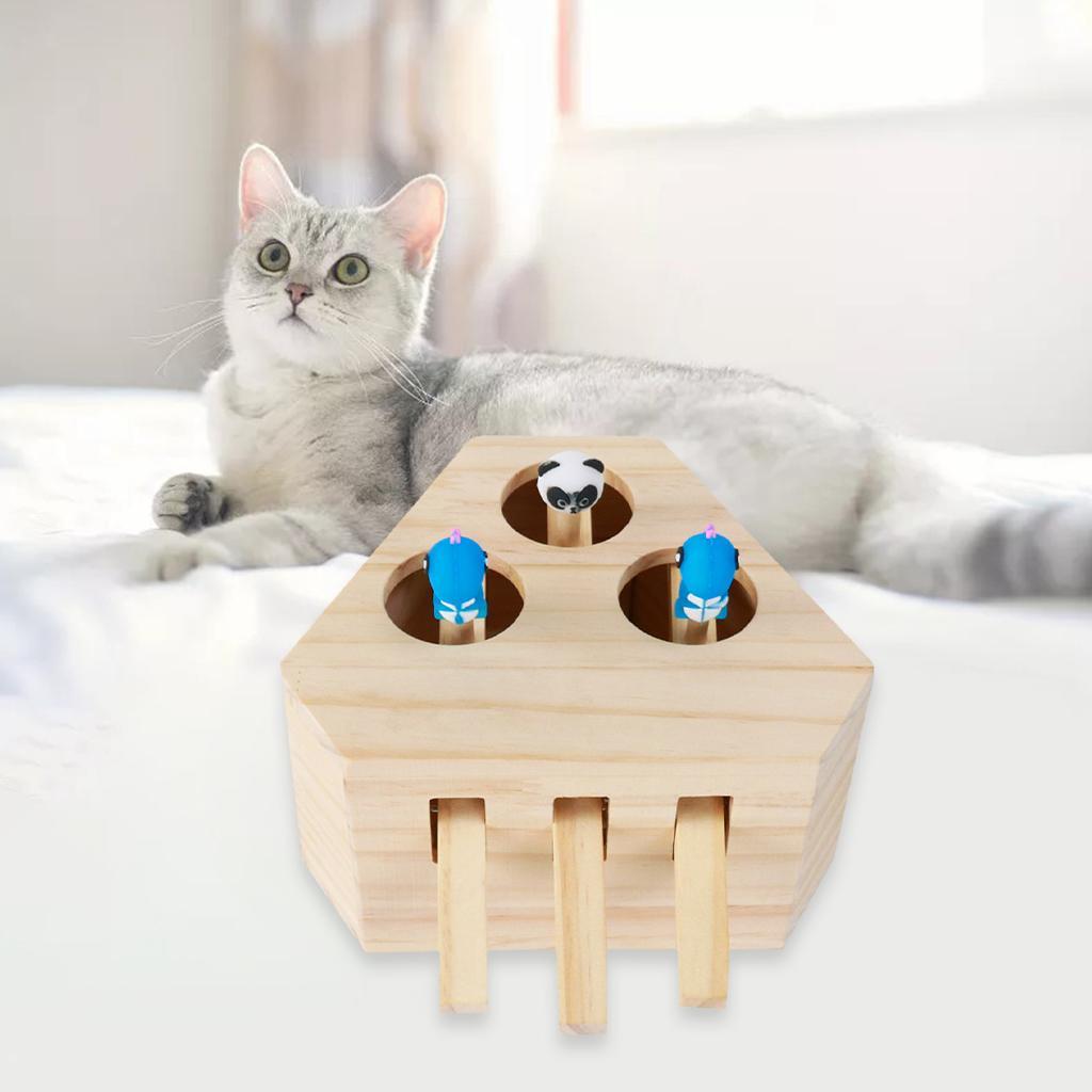 Top 10 Best Budget Interactive Cat Toys For Indoor Cats Coupons & Promo Codes