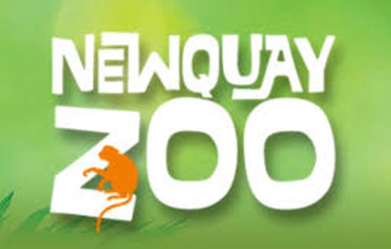 newquay zoo coupons